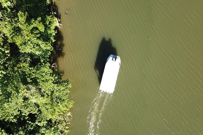 1-Hour Daintree River wildlife cruise - A one-hour look at the Daintree River
