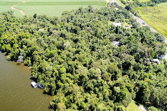 1-Hour Daintree River wildlife cruise - The walk to the boat