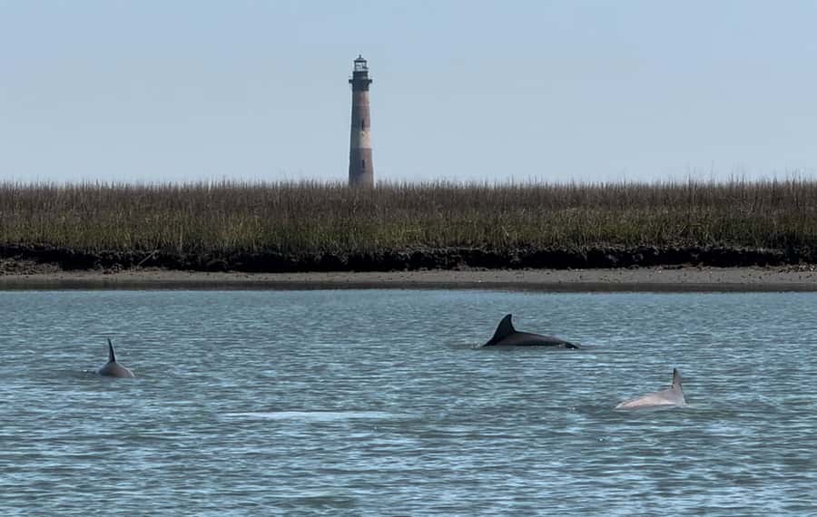 2hr Private River Cruise with stop at Morris Island - Setting out from Folly Beach