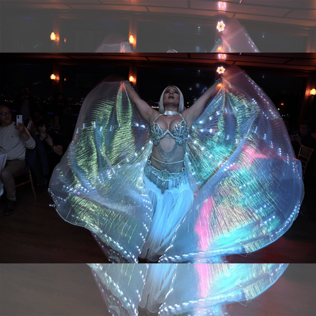 All Inclusive; Istanbul Bosphorus Dinner Cruise w/live shows - What dinner adds to the cruise