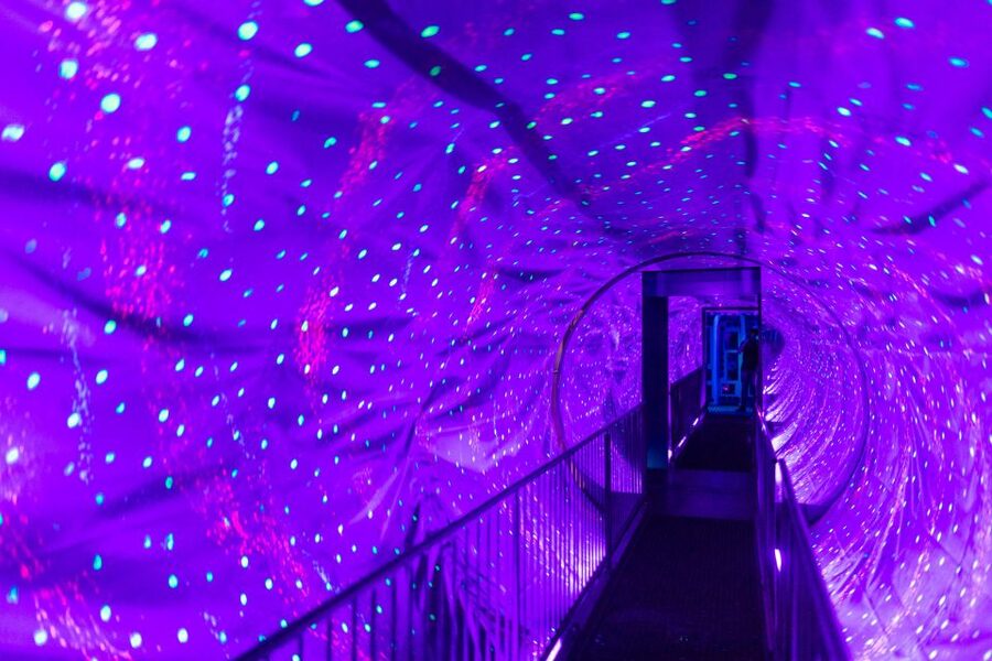 Amsterdam 1-Hour Canal Cruise and Ripley’s Believe it or Not - Timing the day without rushing
