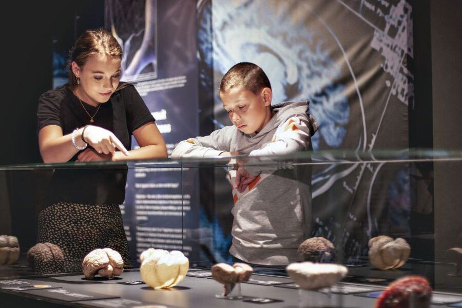 Amsterdam: Body Worlds Exhibition and Canal Cruise - Choosing the right canal departure point