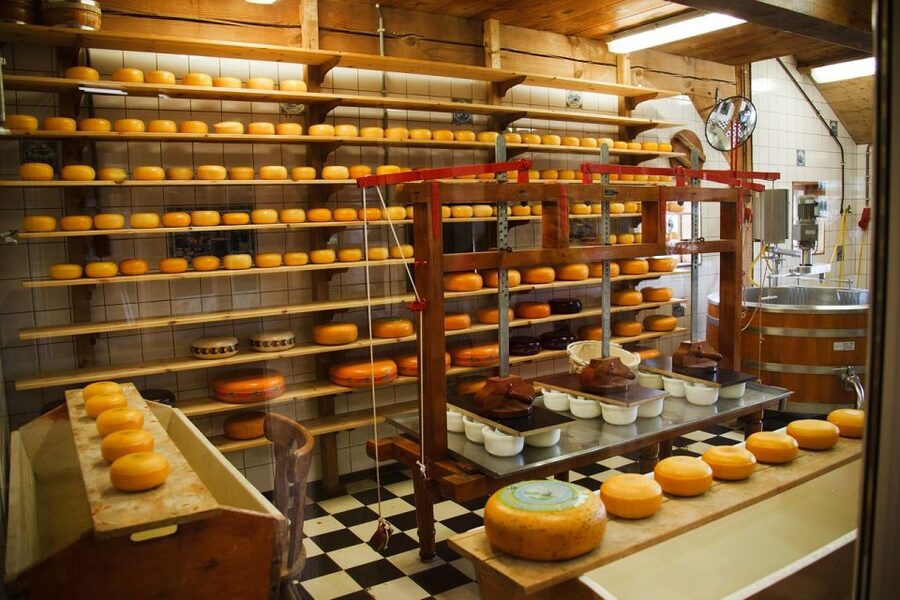 Amsterdam: Giethoorn Tour with Canal Cruise and Windmills - Cheese tasting at Jacobs Hoeve Cheese Farm