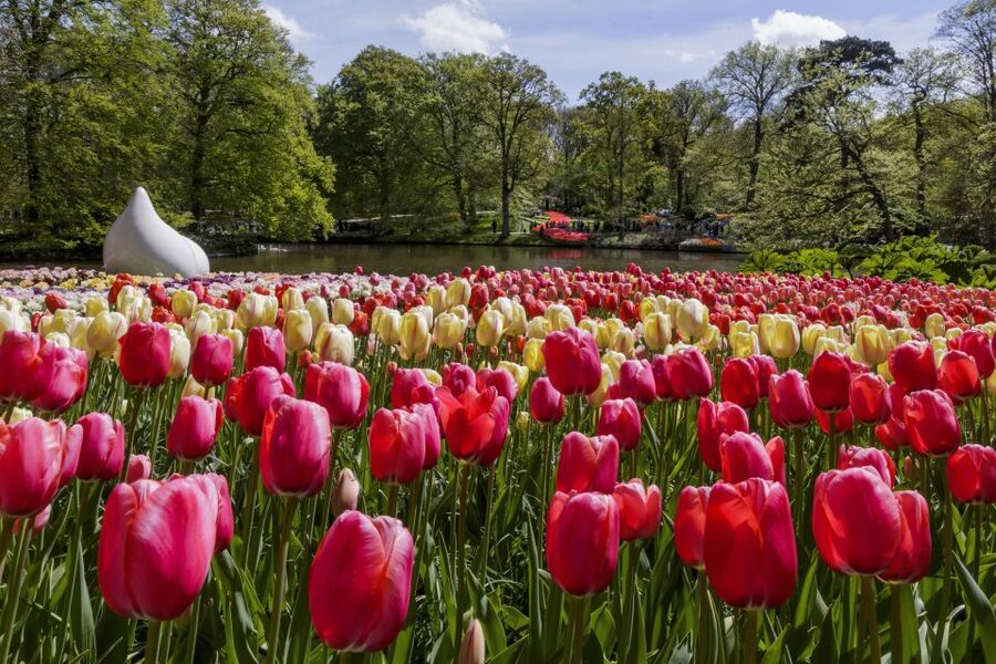 Amsterdam: Keukenhof Ticket with Shuttle Bus + Canal Cruise - My verdict on this Keukenhof and canal combination