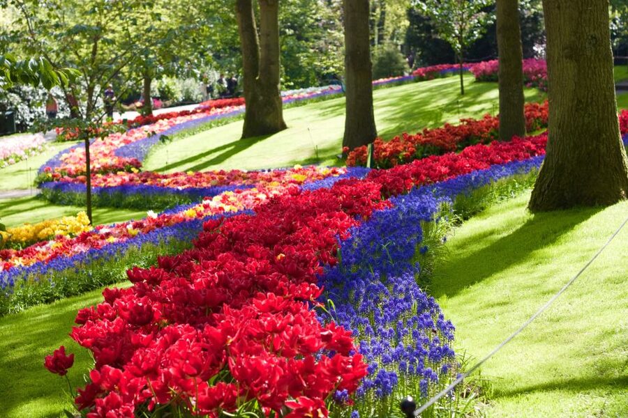 Amsterdam: Keukenhof Ticket with Shuttle Bus + Canal Cruise - How to fit both attractions into one day