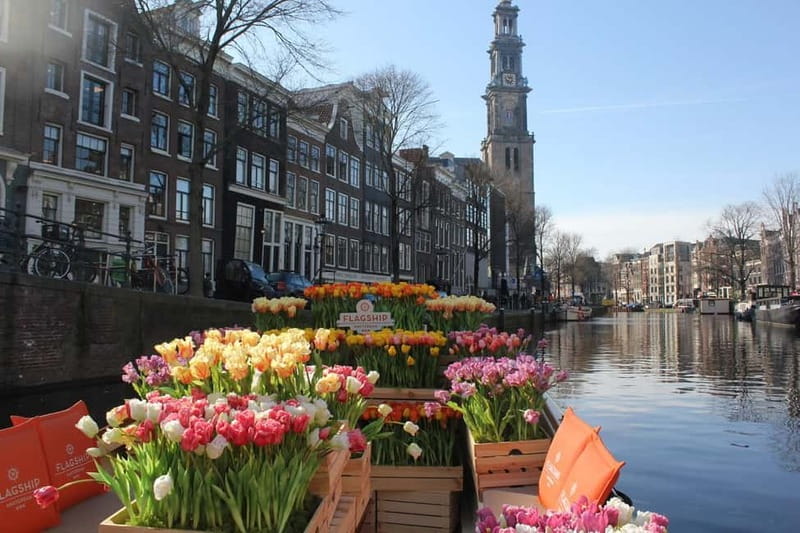 Amsterdam: Premium Tulip Boat Canal Tour - What the One-Hour Route Gives You