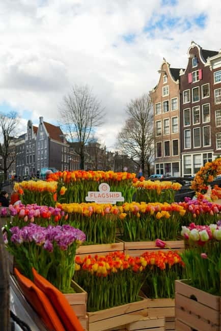 Amsterdam: Premium Tulip Boat Canal Tour - The Onboard Bar and Comfort Details