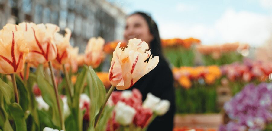 Amsterdam: Premium Tulip Boat Canal Tour - The Best Time and Type of Visitor