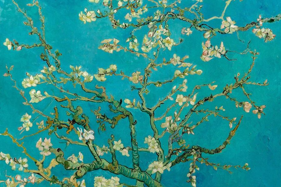 Amsterdam: Van Gogh Museum Ticket and City Canal Cruise - Two Amsterdam classics in one three-hour plan
