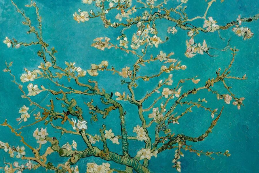 Amsterdam: Van Gogh Museum Ticket & Canal Cruise - What the $47 price really buys you