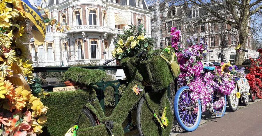 Amsterdam Walking Tour and Canal Cruise - What the private format changes
