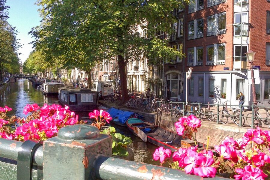 Amsterdam Walking Tour and Canal Cruise - Starting near Central Station or your hotel