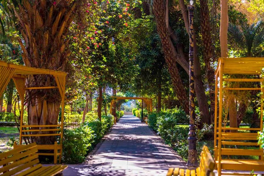 Aswan: Private Nile Boat Cruise and Botanical Garden Visit - Who will get the most from this Aswan outing