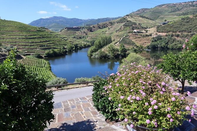 Authentic Small Group Douro Wine Tour with Lunch & River Cruise - Guide quality and group atmosphere