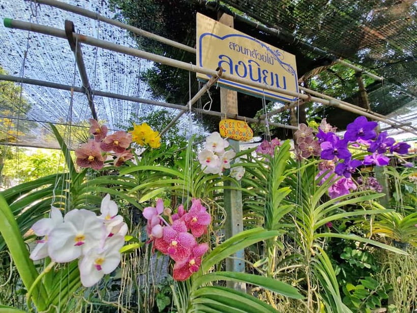 Bangkok Canals Hop-On Hop-Off Boat Tour - Starting at Wat Mai Yai Nui Temple pier