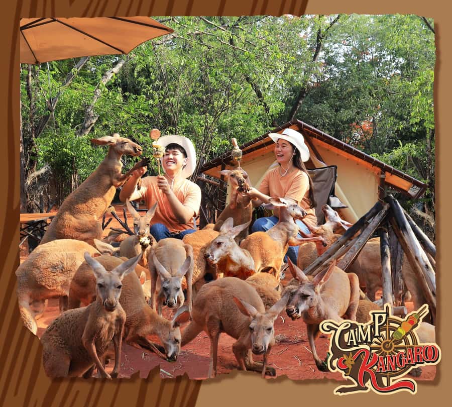 Bangkok: Private Family Tour to Safari & River Dinner Cruise - Starting at Safari World