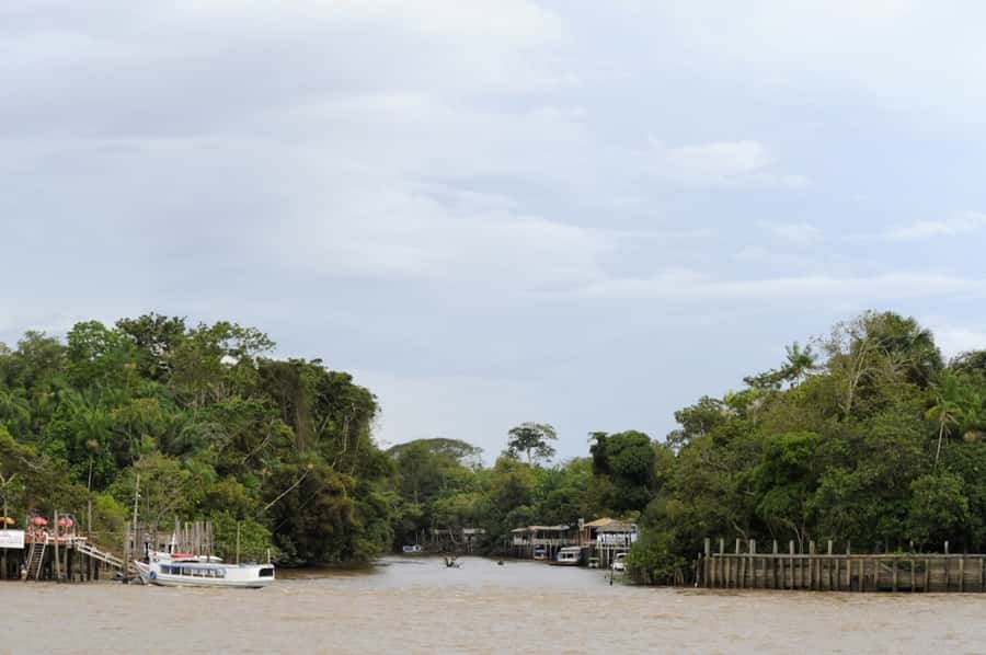Belém: Half-Day Furos Boat Tour & Riverside Community Visit - Around Combú Island and Through Two Furos