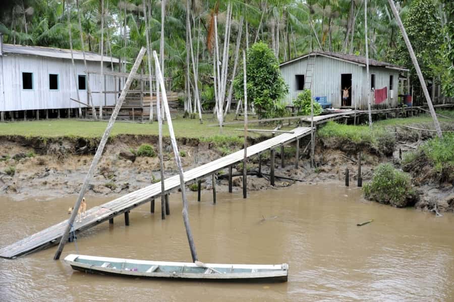 Belém: Half-Day Furos Boat Tour & Riverside Community Visit - Why the Guide Can Make or Break the Morning