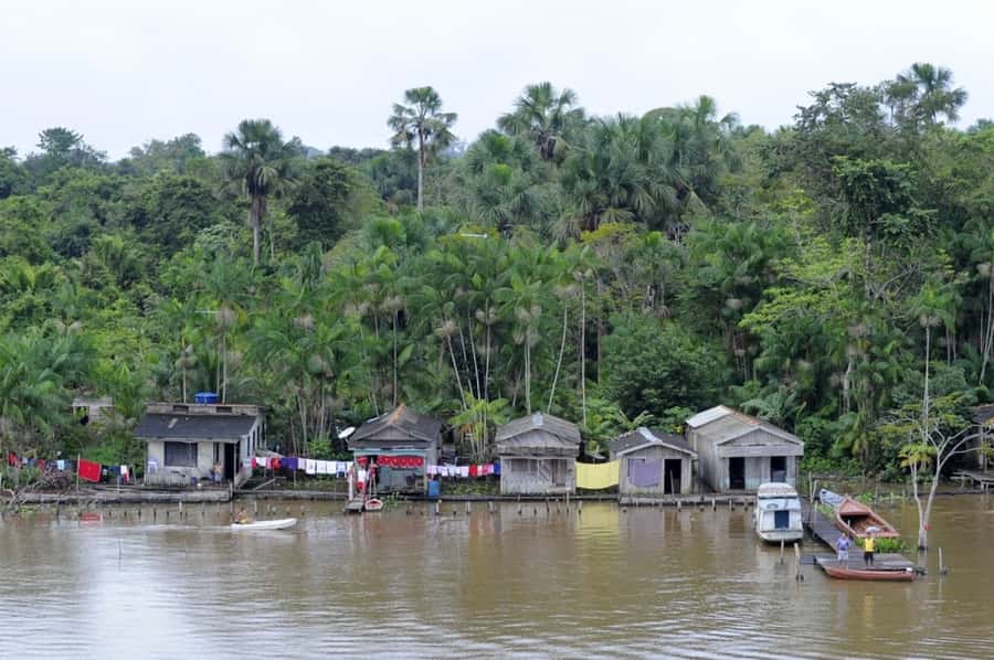 Belém: Half-Day Furos Boat Tour & Riverside Community Visit - Should You Book It?