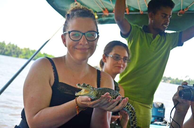 Bentota: River Boat Safari - Key points to know before you book