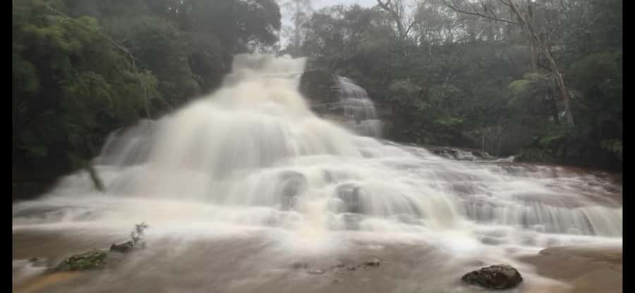 Blue Mountains day tour with Cruise, Scenic world pass & Zoo - Early morning at Sydney Zoo