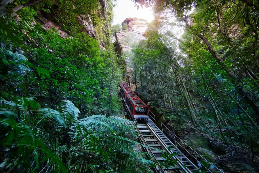 Blue Mountains day tour with Cruise, Scenic world pass & Zoo - Kings Tableland or Evans Lookout