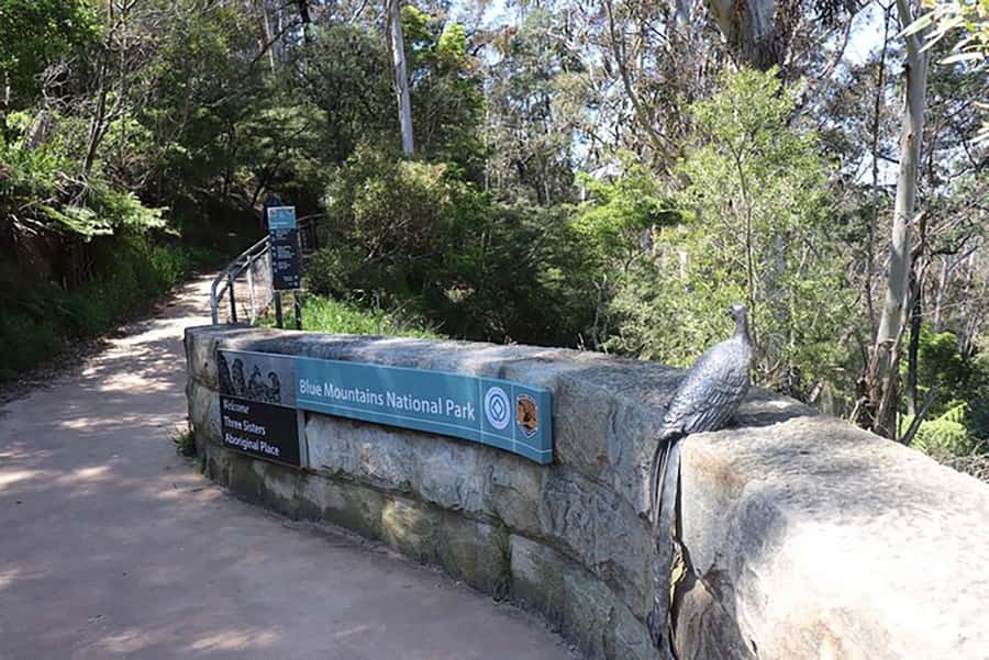 Blue Mountains: Private Tour with Wildlife and River Cruise - The Three Sisters and a practical meal break