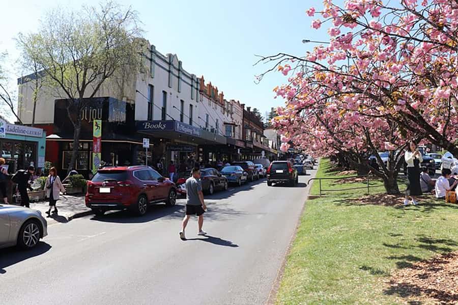 Blue Mountains: Private Tour with Wildlife and River Cruise - The transport plan and pickup options