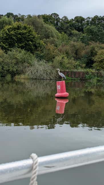 Boat ride on the Canal de la Rance - Key points to know before you book