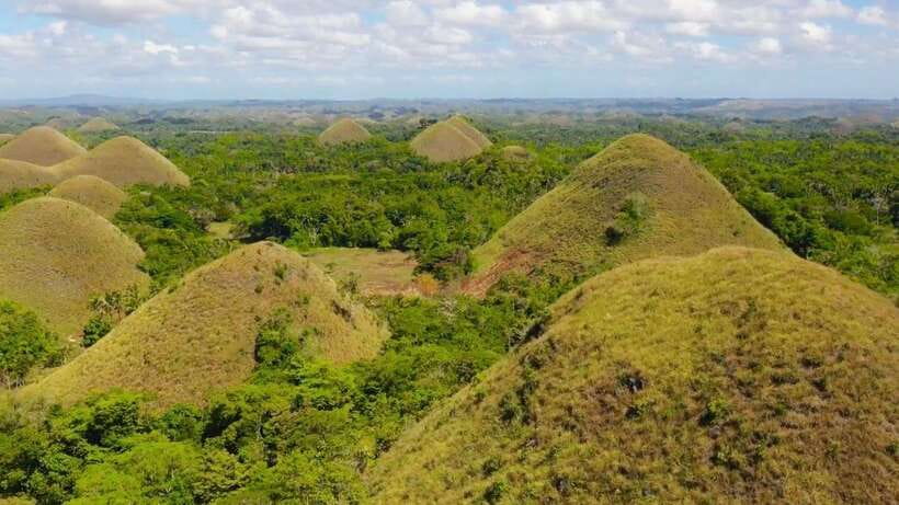 Bohol: Chocolate Hills, Loboc River Cruise, and Buffet Lunch - Why this Bohol day tour works