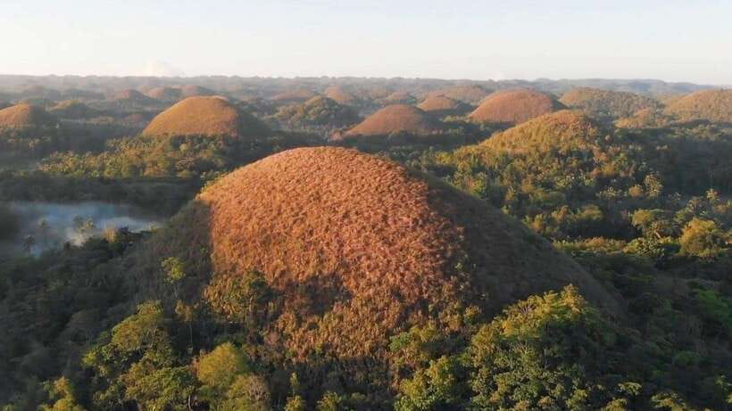 Bohol: Chocolate Hills, Loboc River Cruise, and Buffet Lunch - The Bilar Man-Made Forest in a quick 30-minute stop