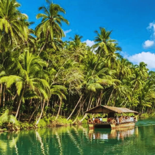 Bohol: Chocolate Hills Tour with Loboc River Cruise & Lunch - Why this Bohol day works so well