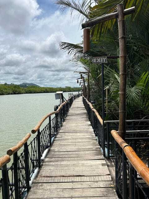 Bohol: Chocolate Hills Tour with Loboc River Cruise & Lunch - Driving through the Man-Made Forest