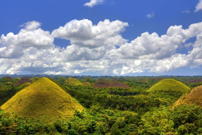 Bohol Countryside Day Tour From Cebu City | Lunch at Loboc River Cruise - Tarsiers reward patience and careful attention