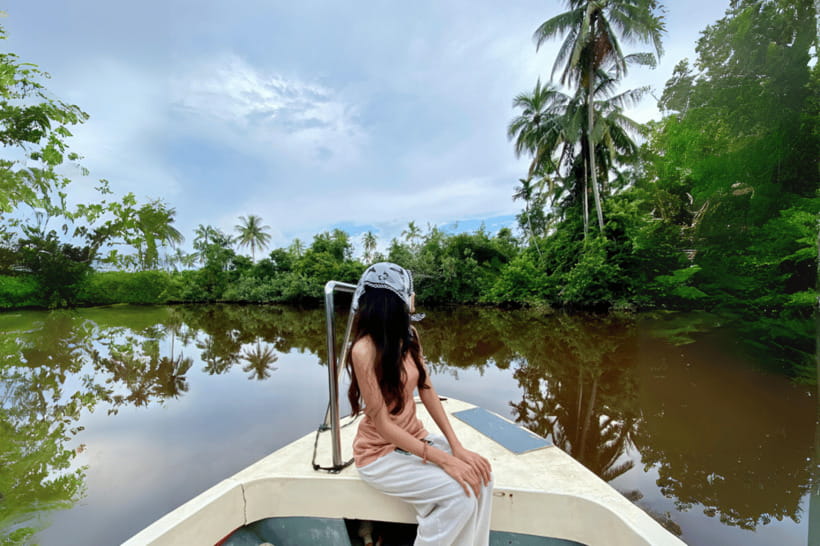 Bongawan River Cruise: Proboscis Monkey & Fireflies Mangrove - The Bongawan River cruise and the search for monkeys
