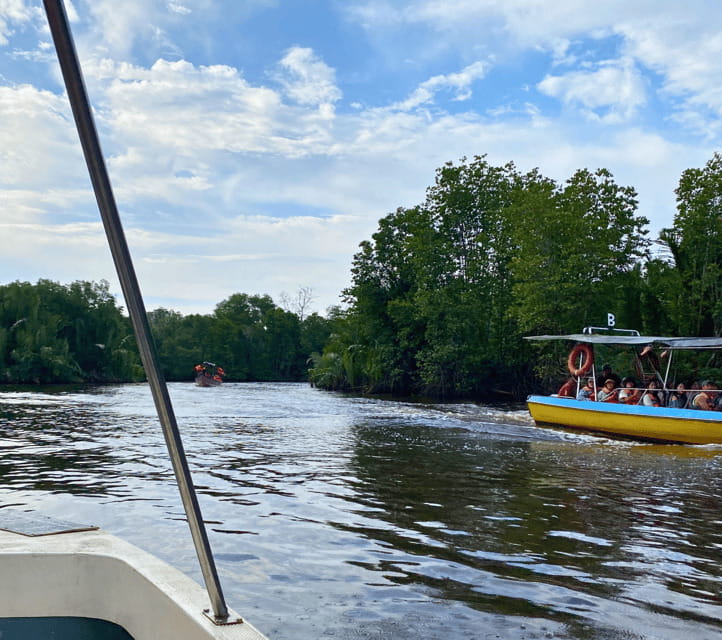 Bongawan River Cruise: Proboscis Monkey & Fireflies Mangrove - Guides make or break a long day