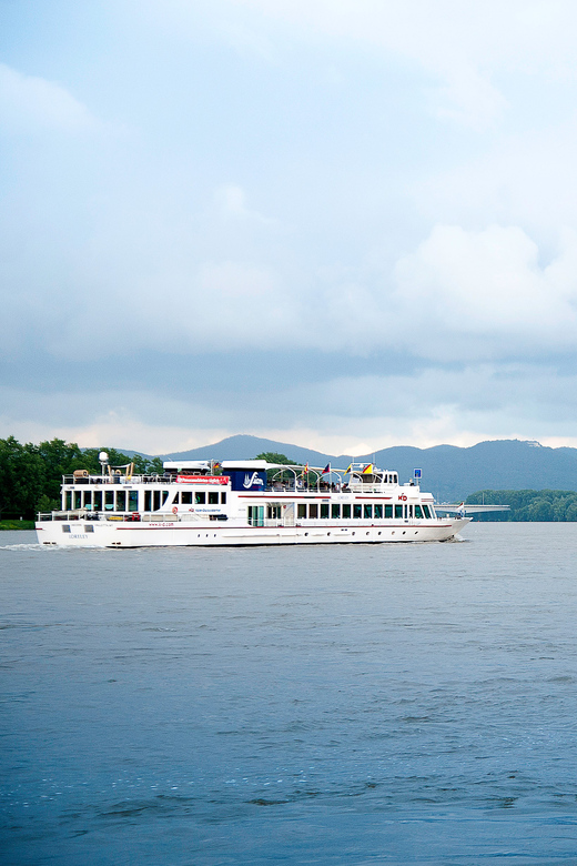 Bonn: Evening Sightseeing Cruise on the Rhine River - Beginning at the KD ticket office