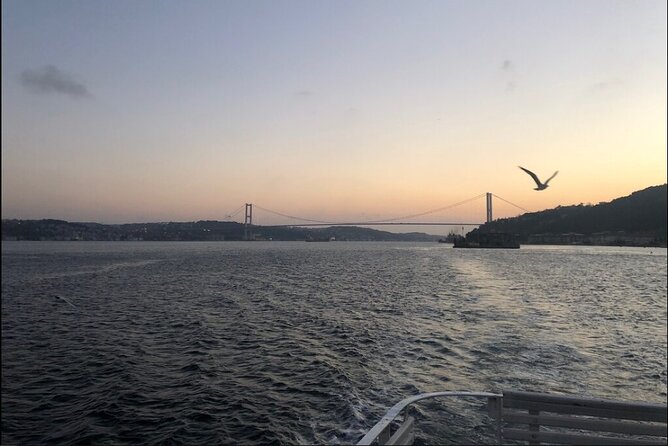 Bosphorus Explorer: 3-Hour Cruise with Asian Side Visit - Rumeli Fortress and the Fatih Sultan Mehmet Bridge