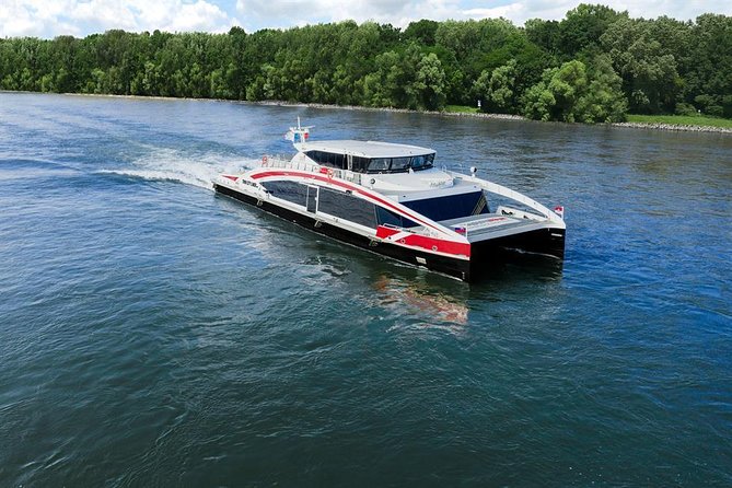 Bratislava Day Trip from Vienna With Catamaran Cruise on Danube - The Twin City Liner back to Vienna
