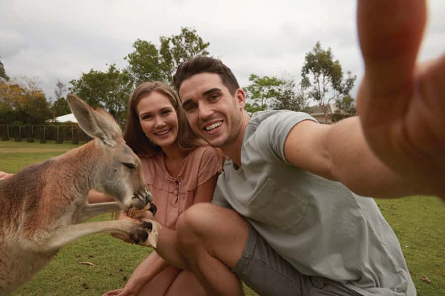 Brisbane River Cruise and Koala Sanctuary Visit - Why the Brisbane River route makes this outing special