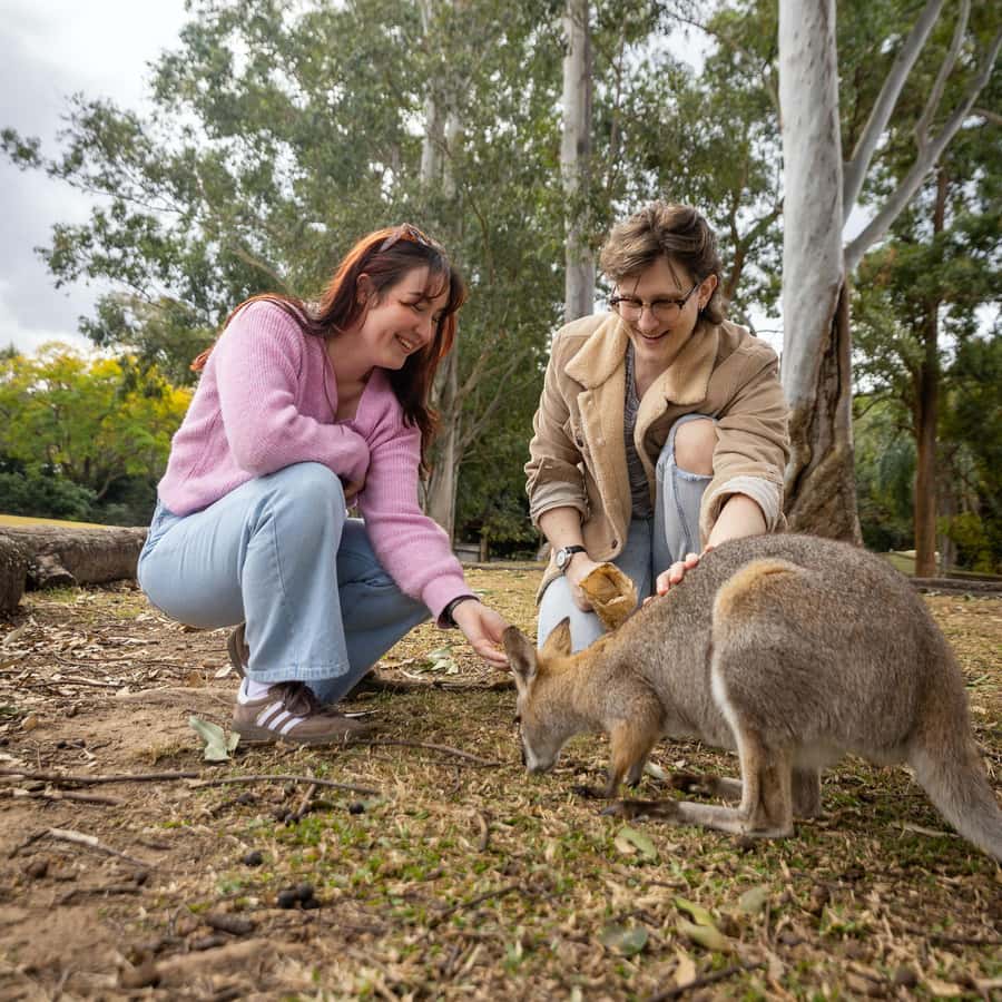 Brisbane River Cruise and Koala Sanctuary Visit - Practical tips for getting more from the visit