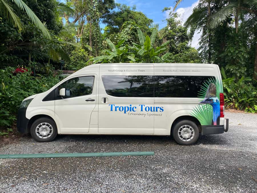 Cairns: Daintree River Cruise and Mossman Gorge - Morning tea before the Daintree River cruise
