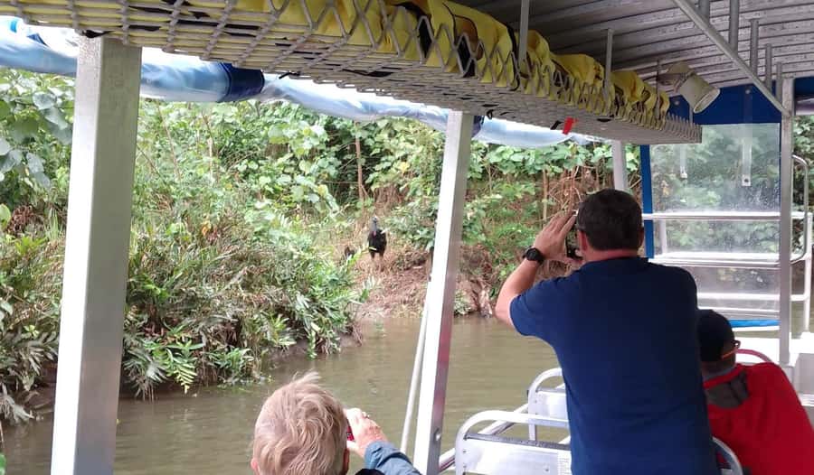 Cairns: Daintree River Cruise and Mossman Gorge - The ride back includes Rex’s Lookout
