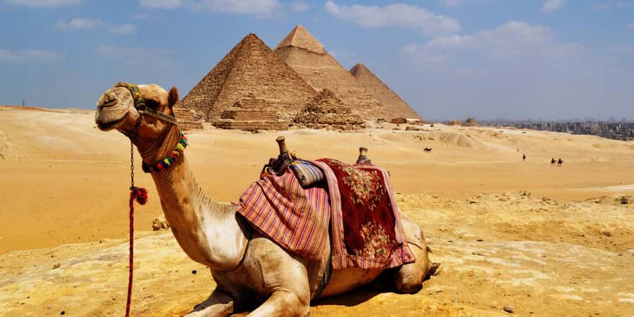 Cairo & Nile: 7-Day Hotel Stay & Cruise Package with Flights - Day six leaves choices in Luxor