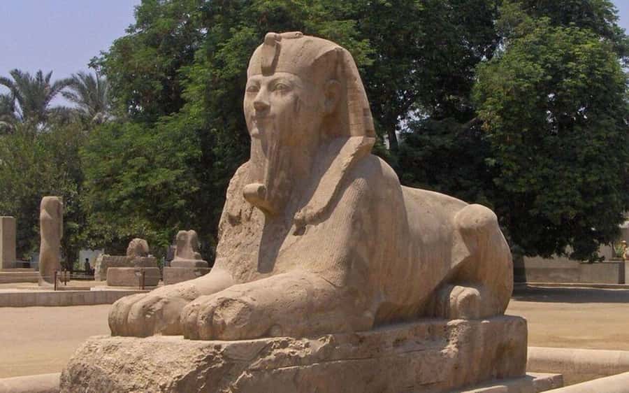 Cairo : Sakkara, Memphis ,Dahshur and Nile dinner cruise - What the $144 price covers