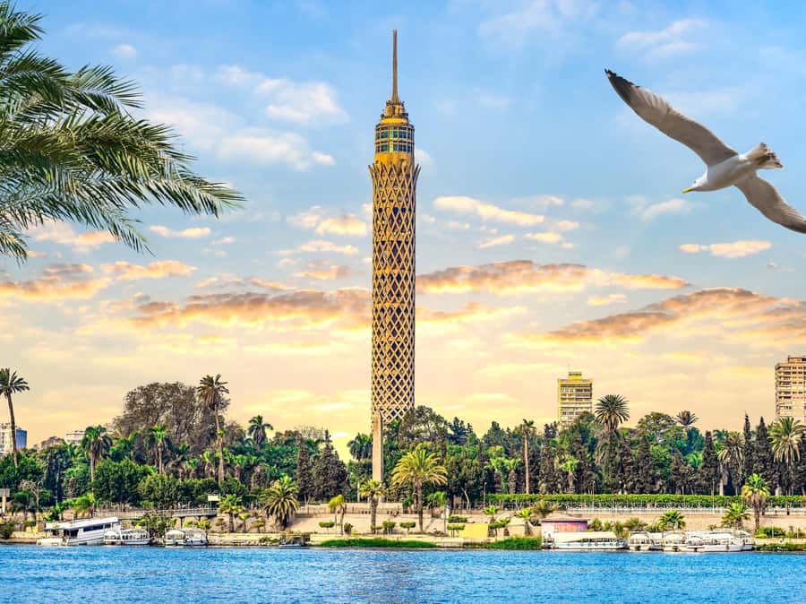 Cairo: Sunset Cairo Tower Tour With Nile River Dinner Cruise - Private service or shared service?