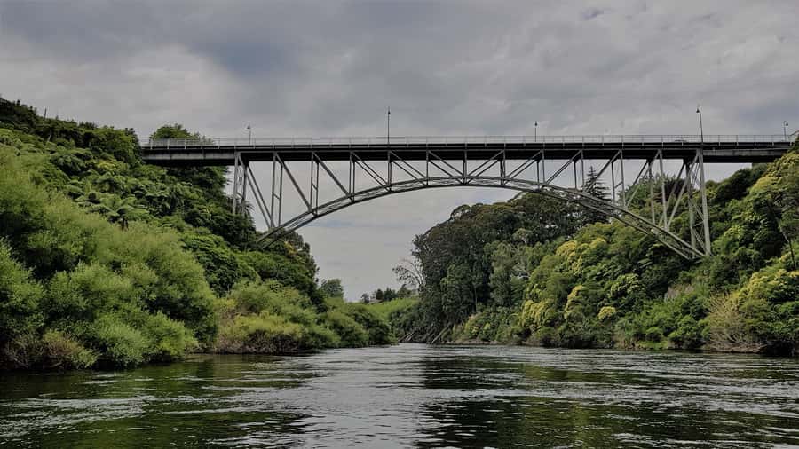 Cambridge, Matamata, Waitomo: 1-Hour Ecological River Cruise - Key points to know before you book