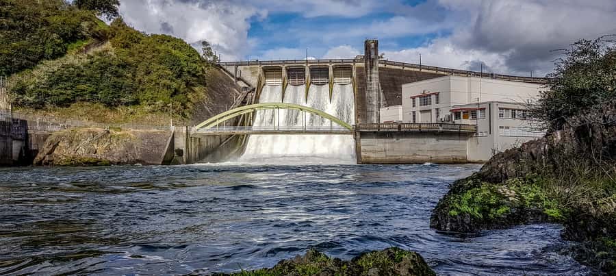 Cambridge, Matamata, Waitomo: 1-Hour Ecological River Cruise - A Waikato River ride with two different moods