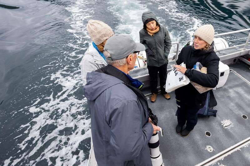 Campbell River: 6-Hour Whale Watching Boat Tour - What the $245 price includes