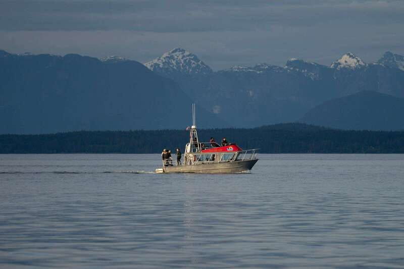 Campbell River: 6-Hour Whale Watching Boat Tour - Who should book this tour?